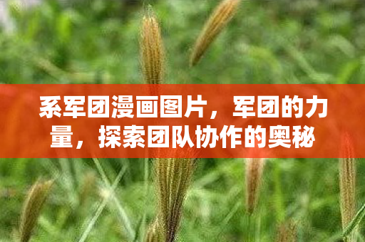 系军团漫画图片,军团的力量,探索团队协作的奥秘 系军团漫画图片,军团的力量,探索团队协作的奥秘