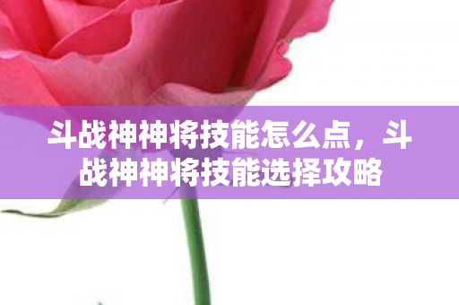 斗战神神将技能怎么点，斗战神神将技能选择攻略