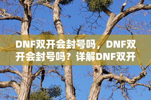 DNF双开会封号吗,DNF双开会封号吗?详解DNF双开封号机制 DNF双开会封号吗,DNF双开会封号吗?详解DNF双开封号机制