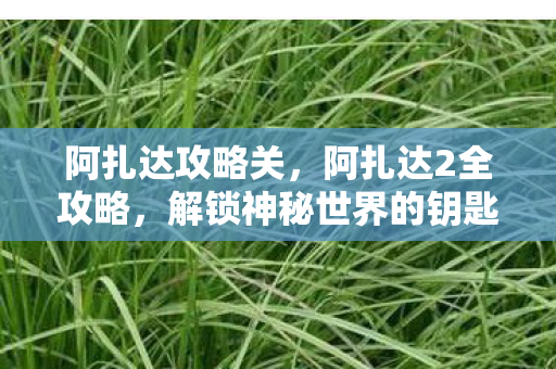 阿扎达攻略关，阿扎达2全攻略，解锁神秘世界的钥匙