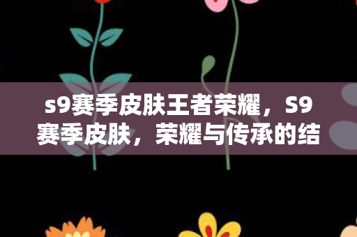 s9赛季皮肤王者荣耀，S9赛季皮肤，荣耀与传承的结晶