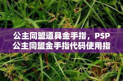 公主同盟道具金手指，PSP公主同盟金手指代码使用指南
