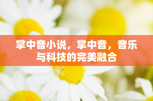 掌中音小说,掌中音,音乐与科技的完美融合 掌中音小说,掌中音,音乐与科技的完美融合