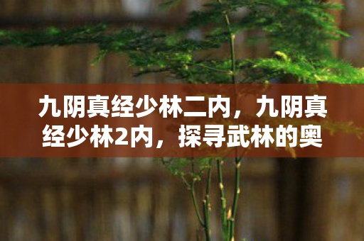 九阴真经少林二内，九阴真经少林2内，探寻武林的奥秘