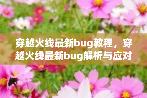 穿越火线最新bug教程，穿越火线最新bug解析与应对指南