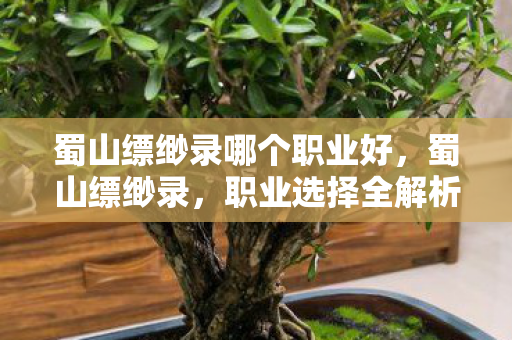 蜀山缥缈录哪个职业好,蜀山缥缈录,职业选择全解析 蜀山缥缈录哪个职业好,蜀山缥缈录,职业选择全解析