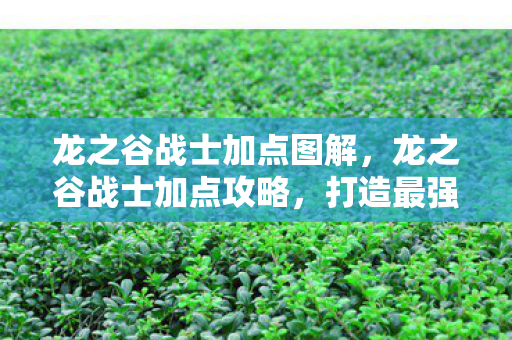 龙之谷战士加点图解,龙之谷战士加点攻略,打造最强战斗力的关键 龙之谷战士加点图解,龙之谷战士加点攻略,打造最强战斗力的关键