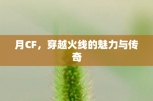 月CF,穿越火线的魅力与传奇 月CF,穿越火线的魅力与传奇