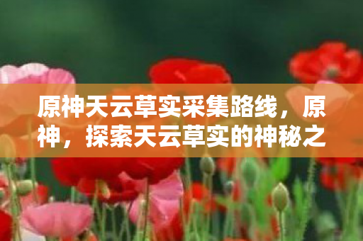 原神天云草实采集路线,原神,探索天云草实的神秘之旅 原神天云草实采集路线,原神,探索天云草实的神秘之旅