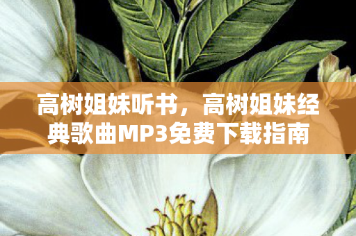 高树姐妹听书，高树姐妹经典歌曲MP3免费下载指南