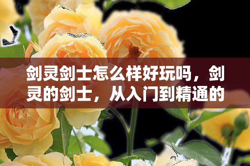 剑灵剑士怎么样好玩吗,剑灵的剑士,从入门到精通的全面解析 剑灵剑士怎么样好玩吗,剑灵的剑士,从入门到精通的全面解析