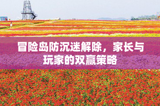 冒险岛防沉迷解除,家长与玩家的双赢策略 冒险岛防沉迷解除,家长与玩家的双赢策略