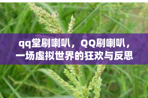 qq堂刷喇叭，QQ刷喇叭，一场虚拟世界的狂欢与反思