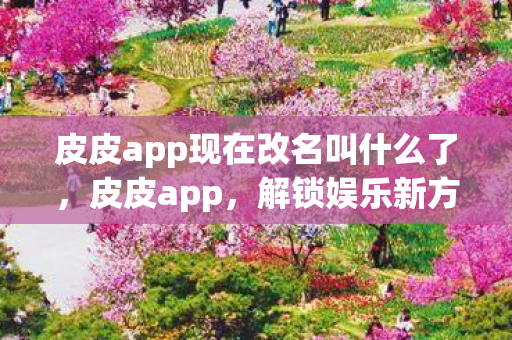 皮皮app现在改名叫什么了,皮皮app,解锁娱乐新方式 皮皮app现在改名叫什么了,皮皮app,解锁娱乐新方式