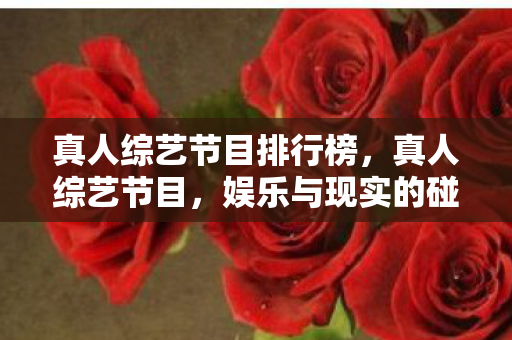 真人综艺节目排行榜，真人综艺节目，娱乐与现实的碰撞