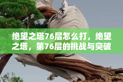 绝望之塔76层怎么打，绝望之塔，第76层的挑战与突破
