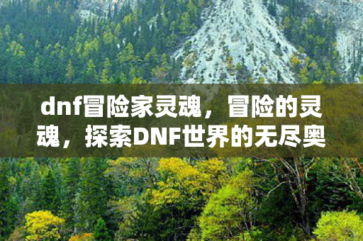 dnf冒险家灵魂，冒险的灵魂，探索DNF世界的无尽奥秘
