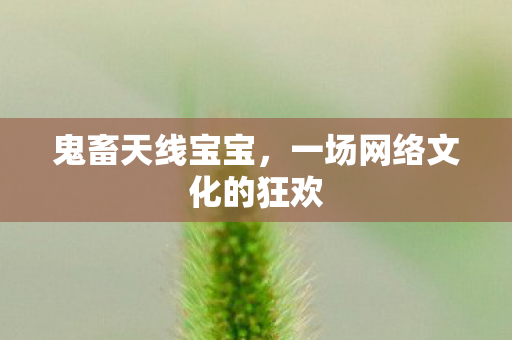 鬼畜天线宝宝，一场网络文化的狂欢