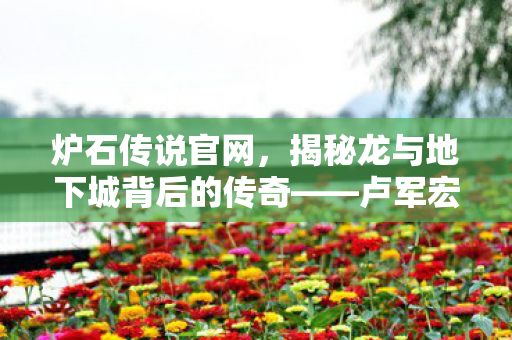 炉石传说官网,揭秘龙与地下城背后的传奇——卢军宏的传奇故事 炉石传说官网,揭秘龙与地下城背后的传奇——卢军宏的传奇故事