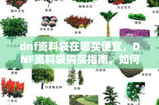 dnf资料袋在哪买便宜,DNF资料袋购买指南,如何找到最实惠的购买渠道 dnf资料袋在哪买便宜,DNF资料袋购买指南,如何找到最实惠的购买渠道