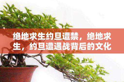 绝地求生约旦遭禁，绝地求生，约旦遭遇战背后的文化碰撞与竞技激情