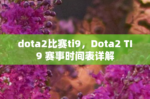 dota2比赛ti9，Dota2 TI9 赛事时间表详解
