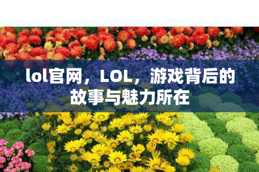 lol官网，LOL，游戏背后的故事与魅力所在
