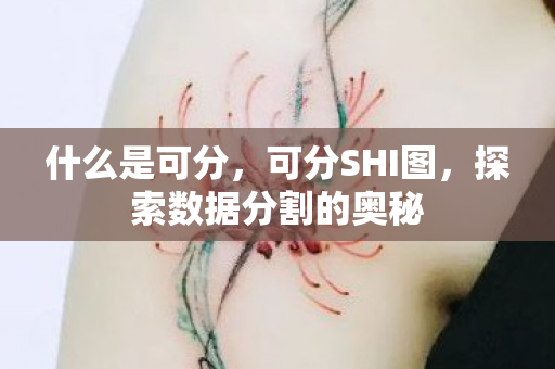 什么是可分,可分SHI图,探索数据分割的奥秘 什么是可分,可分SHI图,探索数据分割的奥秘