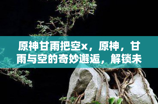 原神甘雨把空x，原神，甘雨与空的奇妙邂逅，解锁未知领域的奇幻之旅