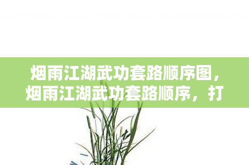 烟雨江湖武功套路顺序图，烟雨江湖武功套路顺序，打造你的江湖之路