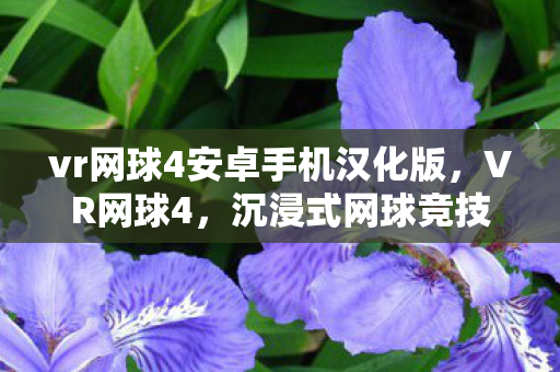 vr网球4安卓手机汉化版,VR网球4,沉浸式网球竞技新体验 vr网球4安卓手机汉化版,VR网球4,沉浸式网球竞技新体验