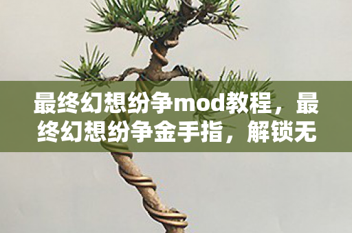 最终幻想纷争mod教程，最终幻想纷争金手指，解锁无限可能的神秘工具