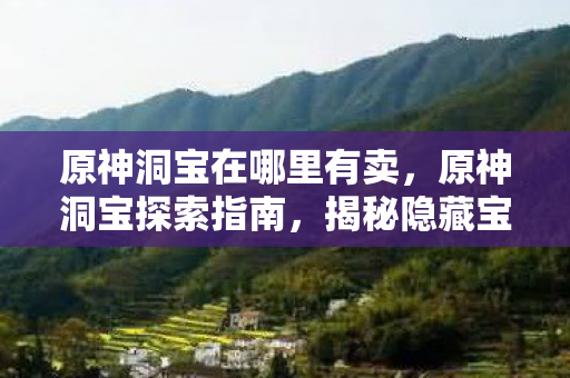 原神洞宝在哪里有卖，原神洞宝探索指南，揭秘隐藏宝藏的所在