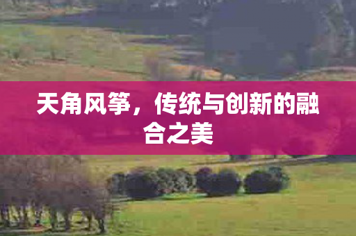 天角风筝,传统与创新的融合之美 天角风筝,传统与创新的融合之美