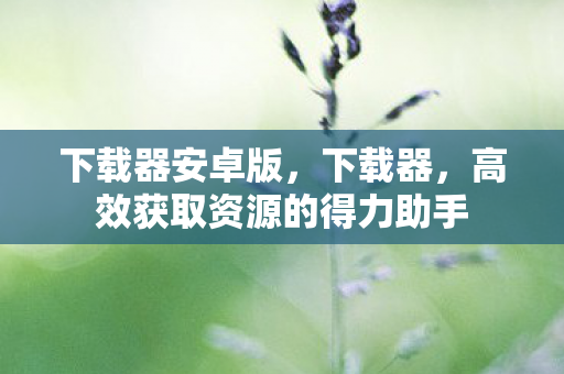 下载器安卓版，下载器，高效获取资源的得力助手