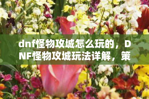 dnf怪物攻城怎么玩的，DNF怪物攻城玩法详解，策略与技巧的全面指南