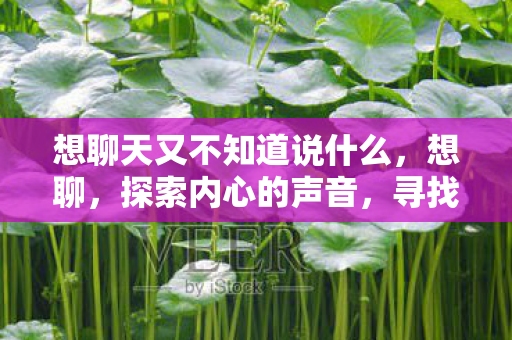 想聊天又不知道说什么,想聊,探索内心的声音,寻找真实的自己 想聊天又不知道说什么,想聊,探索内心的声音,寻找真实的自己
