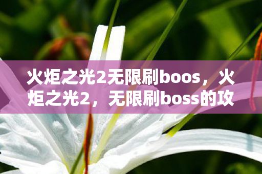 火炬之光2无限刷boos,火炬之光2,无限刷boss的攻略与技巧 火炬之光2无限刷boos,火炬之光2,无限刷boss的攻略与技巧