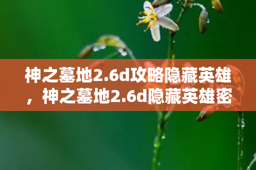 神之墓地2.6d攻略隐藏英雄,神之墓地2.6d隐藏英雄密码揭秘,解锁传奇之旅的钥匙 神之墓地2.6d攻略隐藏英雄,神之墓地2.6d隐藏英雄密码揭秘,解锁传奇之旅的钥匙