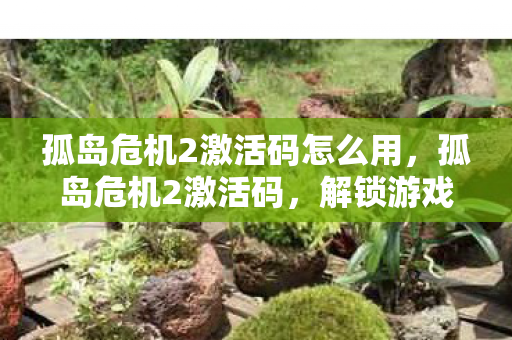 孤岛危机2激活码怎么用，孤岛危机2激活码，解锁游戏世界的钥匙