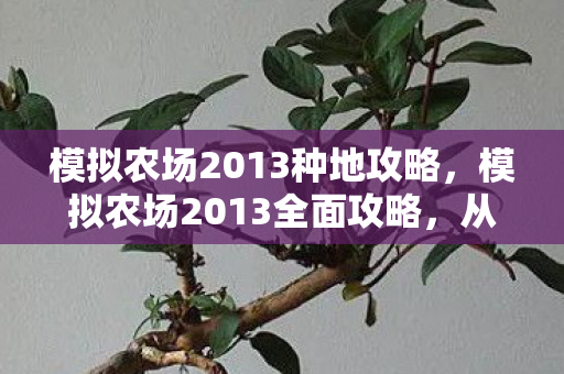 模拟农场2013种地攻略,模拟农场2013全面攻略,从新手到高手的进阶之路 模拟农场2013种地攻略,模拟农场2013全面攻略,从新手到高手的进阶之路