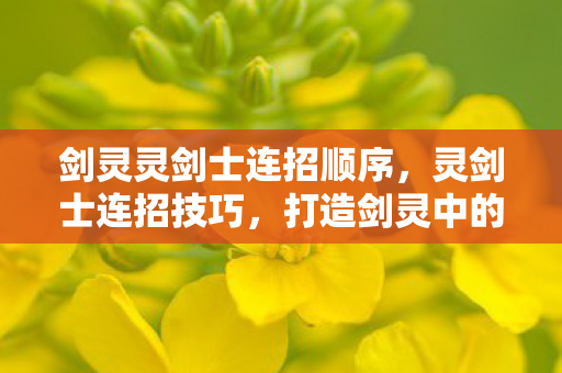 剑灵灵剑士连招顺序，灵剑士连招技巧，打造剑灵中的流畅战斗体验