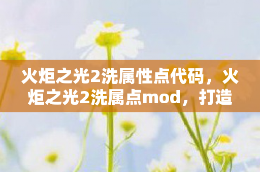 火炬之光2洗属性点代码，火炬之光2洗属点mod，打造个性化角色的秘密武器
