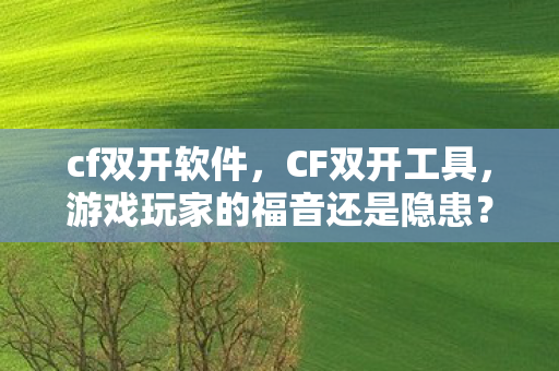 cf双开软件，CF双开工具，游戏玩家的福音还是隐患？