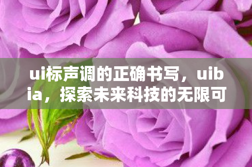 ui标声调的正确书写，uibia，探索未来科技的无限可能