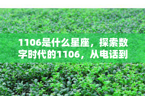 1106是什么星座，探索数字时代的1106，从电话到智能报警的演变