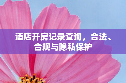 酒店开房记录查询,合法、合规与隐私保护 酒店开房记录查询,合法、合规与隐私保护