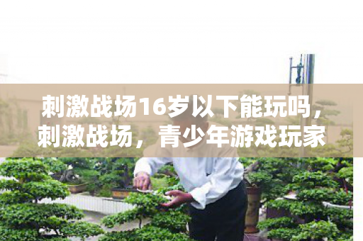 刺激战场16岁以下能玩吗，刺激战场，青少年游戏玩家的挑战与应对之道