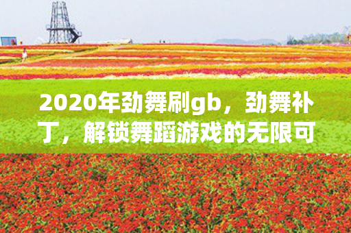 2020年劲舞刷gb,劲舞补丁,解锁舞蹈游戏的无限可能 2020年劲舞刷gb,劲舞补丁,解锁舞蹈游戏的无限可能
