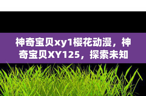 神奇宝贝xy1樱花动漫，神奇宝贝XY125，探索未知世界的奇妙旅程